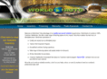 worldautosc.com