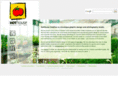 hothousecreative.com