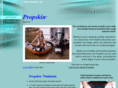 propskin.com