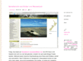 screenario.de