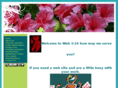 web316.org