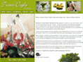cateringservicesireland.com