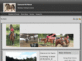 cathysdiamondhillranch.com
