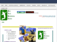 nybadmintoncenter.com