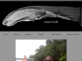 jamescrall.com