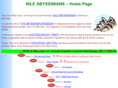 nileabys.com