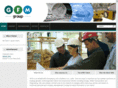 gfmgroup.net