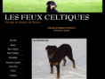 lesfeuxceltiques.com