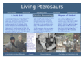 livingpterosaurs.com