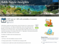 nasle.com