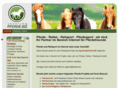 horse-charts.com