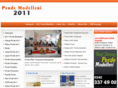 2011perdemodelleri.net