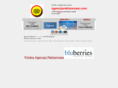 agencjareklamowa.com