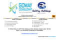 gowayconsultant.com