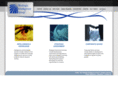 strategicintell.com