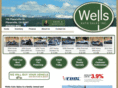 wellsautosalesinc.com