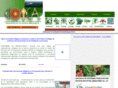 coica.org.ec