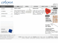 cotexsa.com