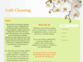 gabicleaning.com