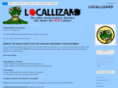 locallizard.biz