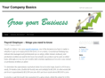 yourcompanybasics.com