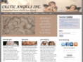 celticangelsinc.com