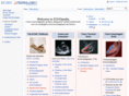 echopedia.com