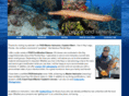 floridakeysdiver.com