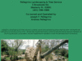 pellegrinolandscapeandtree.com