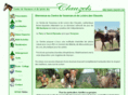 clauzels.com