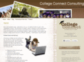 collegeconnectconsulting.com