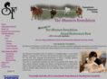 theshannonfoundation.org