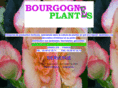 bourgogneplantes.com