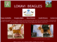 lokavibeagles.com
