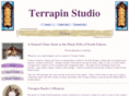 terrastu.com