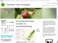 transitiontowngroningen.nl