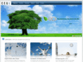 cegsoft.com