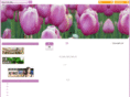 clearwater-associates.com