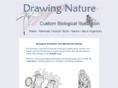 drawing-nature.com