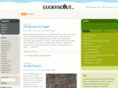 luckyscout.com