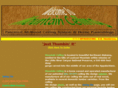 mountainceiling.com