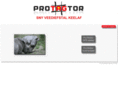 protagtor.com