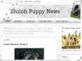 shilohshepherdpuppies.com