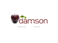 thisisdamson.com