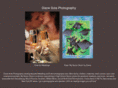 dianesolaphotography.com