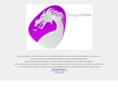 dragoncapitalmarkets.com