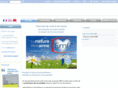 emfi-adhesives.com