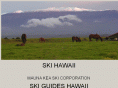 skihawaii.com