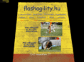 flashagility.hu