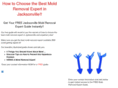 jacksonvillemoldremovalexperts.com
